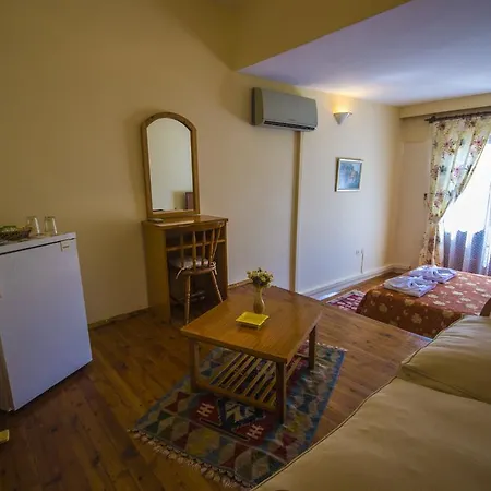 Πανσιόν Kleo Boutique 3*