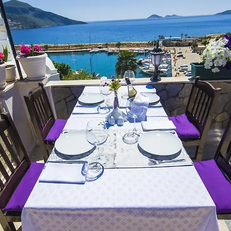 Πανσιόν Kleo Boutique 3*